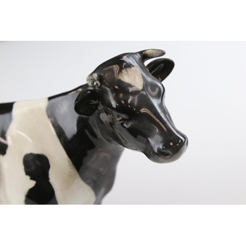 14 - Beswick Friesian Cow ' Claybury Leegwater ' model 1362a together with Beswick Aberdeen Angus Calf, m... 