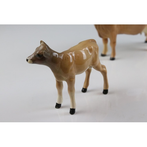 18 - Beswick Jersey Cow ' Ch. Newton Tinkle ' model 1345 and Beswick Jersey Calf, model 1249d