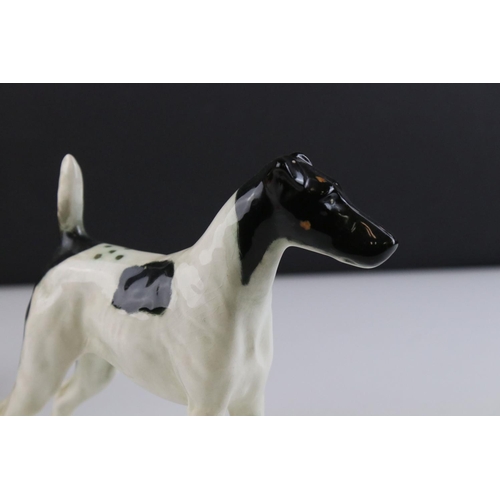 21 - Two Beswick Dogs - Smooth Haired Terrier ' Endon Black Rod ' model 964 and Greyhound ' Jovial Roger ... 