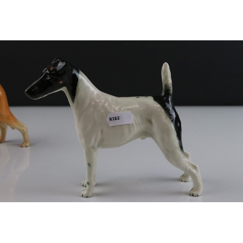 21 - Two Beswick Dogs - Smooth Haired Terrier ' Endon Black Rod ' model 964 and Greyhound ' Jovial Roger ... 