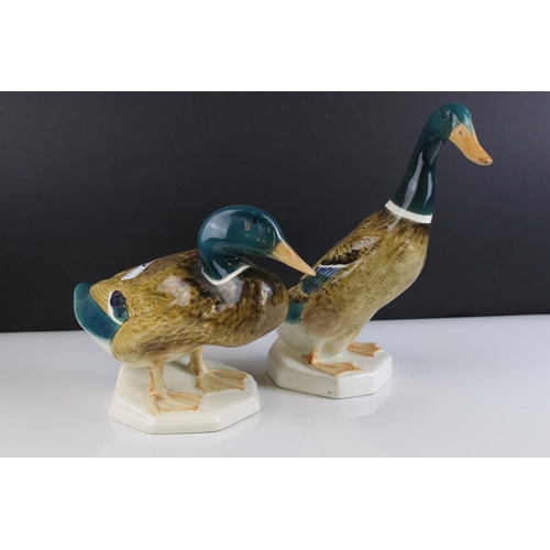 7 - Two Beswick Mallard Ducks, models 817 and 902