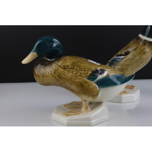 7 - Two Beswick Mallard Ducks, models 817 and 902