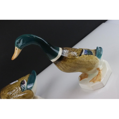 7 - Two Beswick Mallard Ducks, models 817 and 902