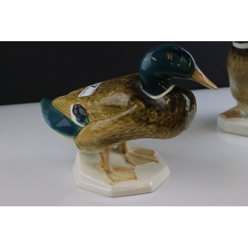 7 - Two Beswick Mallard Ducks, models 817 and 902