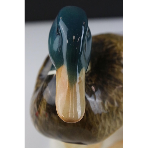 7 - Two Beswick Mallard Ducks, models 817 and 902