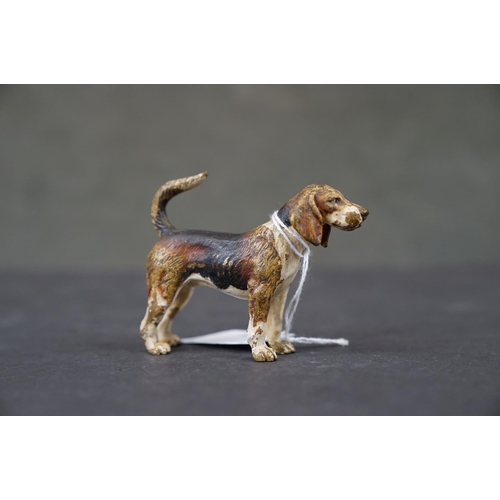 283 - An antique Austrian cold painted bronze figure of a Beagle dog, marked Austria to the underside.