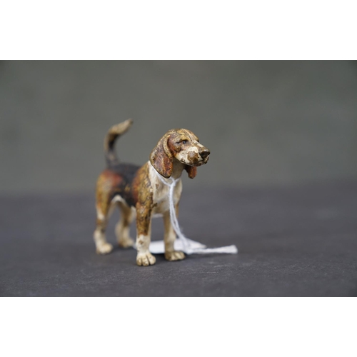 283 - An antique Austrian cold painted bronze figure of a Beagle dog, marked Austria to the underside.