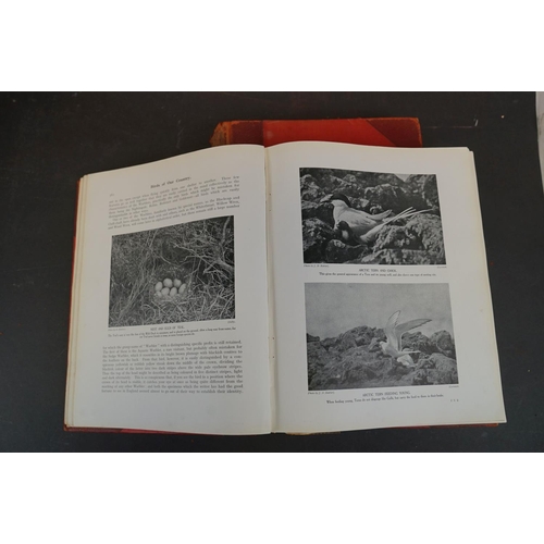 329 - A selection of antique and vintage books on birds and natural history with titles to include The Bir... 