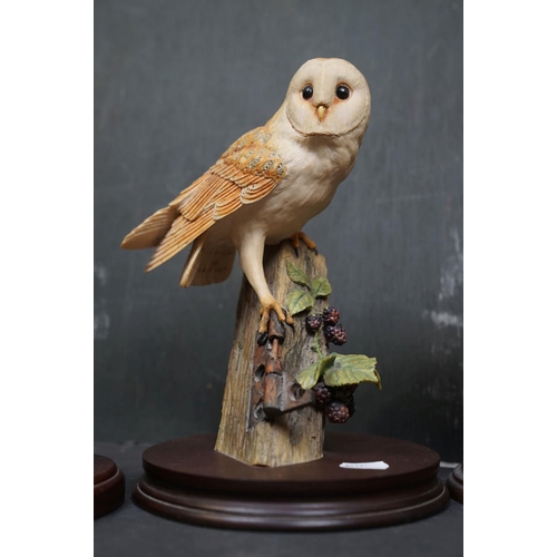 459 - A group of five Country Artists and Border Fine Arts bird ornaments to include a Long Eared Owl and ... 