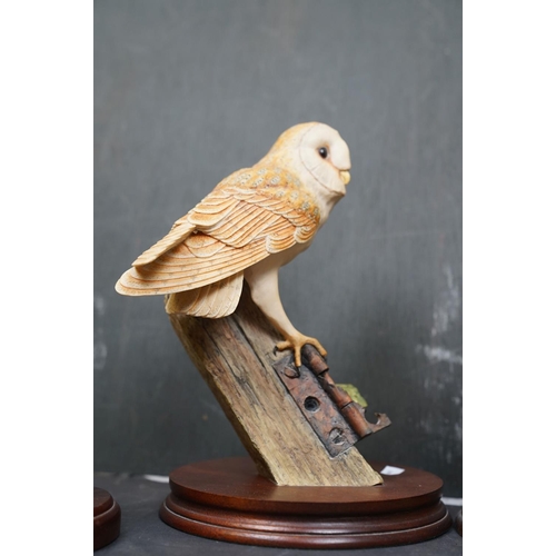 459 - A group of five Country Artists and Border Fine Arts bird ornaments to include a Long Eared Owl and ... 