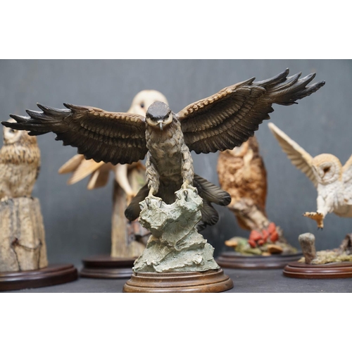 459 - A group of five Country Artists and Border Fine Arts bird ornaments to include a Long Eared Owl and ... 