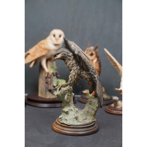 459 - A group of five Country Artists and Border Fine Arts bird ornaments to include a Long Eared Owl and ... 