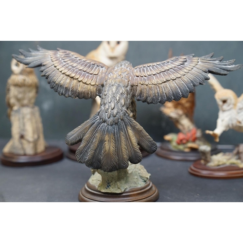 459 - A group of five Country Artists and Border Fine Arts bird ornaments to include a Long Eared Owl and ... 