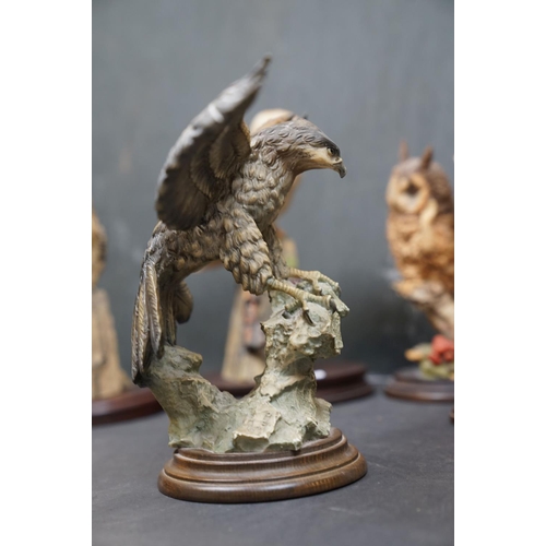 459 - A group of five Country Artists and Border Fine Arts bird ornaments to include a Long Eared Owl and ... 