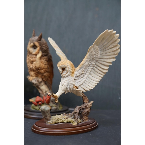 459 - A group of five Country Artists and Border Fine Arts bird ornaments to include a Long Eared Owl and ... 