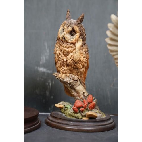 459 - A group of five Country Artists and Border Fine Arts bird ornaments to include a Long Eared Owl and ... 