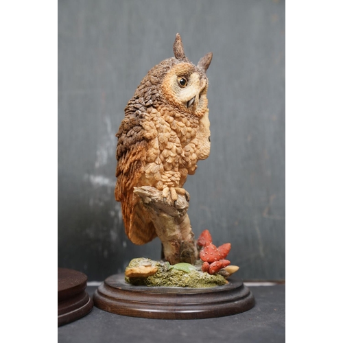 459 - A group of five Country Artists and Border Fine Arts bird ornaments to include a Long Eared Owl and ... 