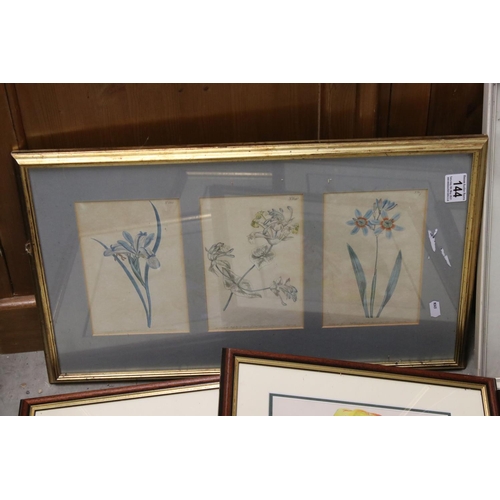 144 - Eight Framed and Glazed Prints of Jamaican flowers etc