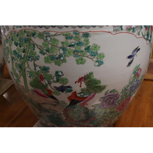 167 - Large Chinese Famille Rose Fish Bowl / Planter decorated with Peacocks and Birds amongst Peonies and... 