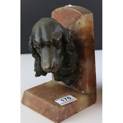 170 - Pair of Early 20th century Orange Marble Bookends mounted with Spelter Busts of Dogs (not matching),... 