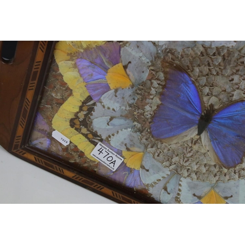 470A - A vintage Brazilian decorative Butterfly wings wooden tray.