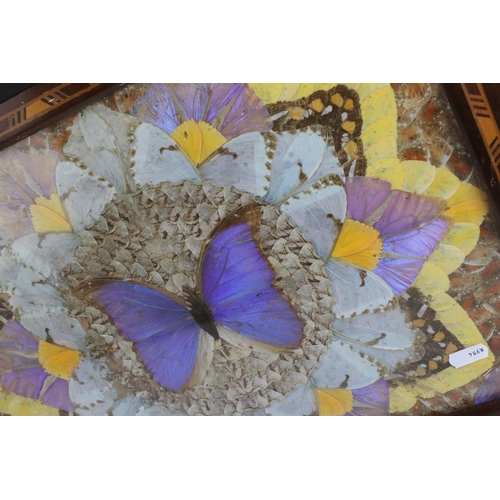 470A - A vintage Brazilian decorative Butterfly wings wooden tray.