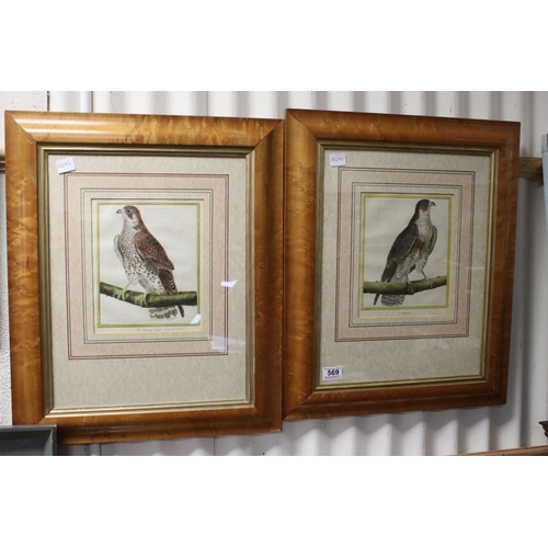 569 - A pair of framed and glazed Martinet bird of prey bird bookplates Le Faulcon and La Faulcon Sours.