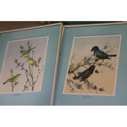 391 - Rena set of six framed and glazed bird prints published by The Tryon Gallery blind stamps and signed... 