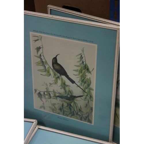 391 - Rena set of six framed and glazed bird prints published by The Tryon Gallery blind stamps and signed... 