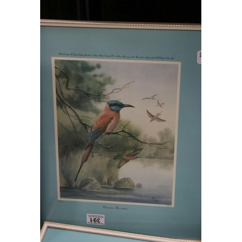 391 - Rena set of six framed and glazed bird prints published by The Tryon Gallery blind stamps and signed... 