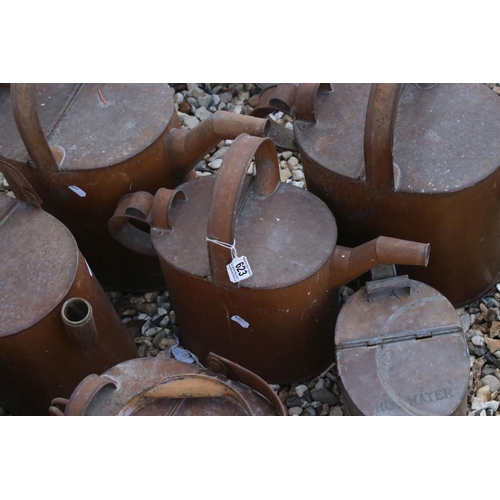 623 - A collection of seven vintage watering cans