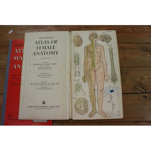 335A - A Bailliere's Atlas of the Male Anatomy together with the Atlas of the Female body.