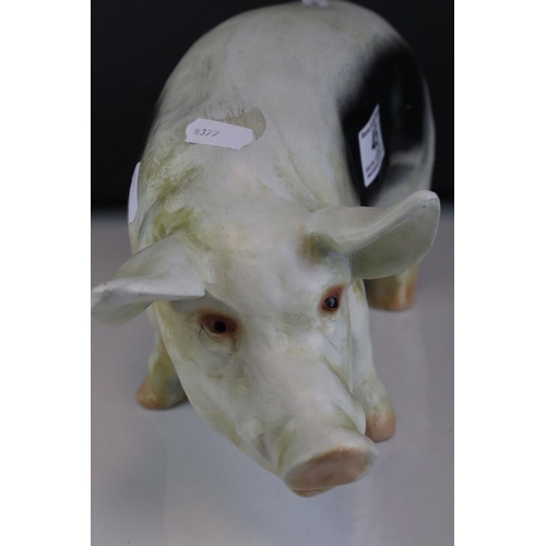 45 - Small Butcher's Shop Display Pig, 31cms long