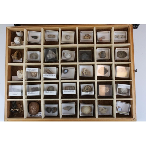 68 - A collection of fossils to include Ammonite and Brachiopod contained within a glass topped collector... 