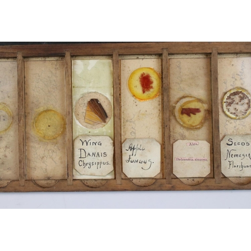 97 - A cased set of antique medical glass slides, slides marked Glasgow Royal Infirmary pathological dept... 