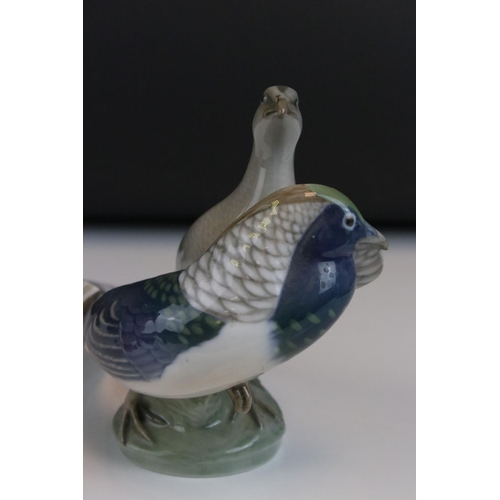 2 - Royal Copenhagen Amherst Pheasant Group, model number 862, 15cms high