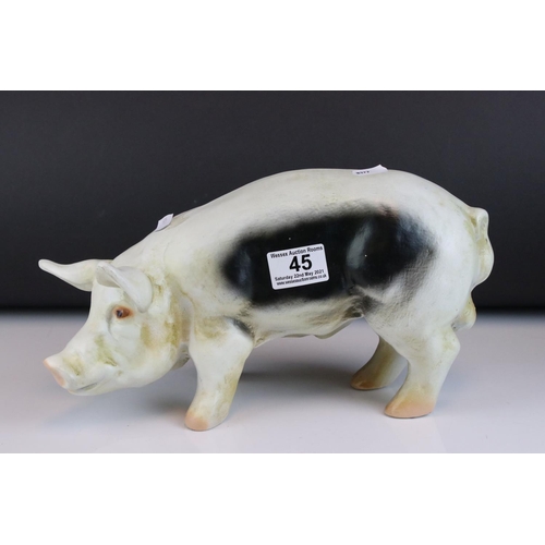 45 - Small Butcher's Shop Display Pig, 31cms long