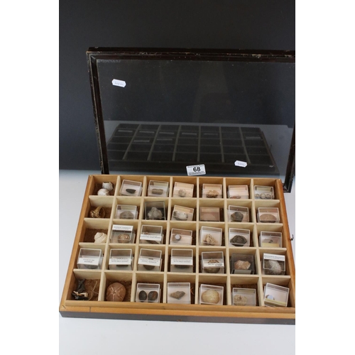 68 - A collection of fossils to include Ammonite and Brachiopod contained within a glass topped collector... 