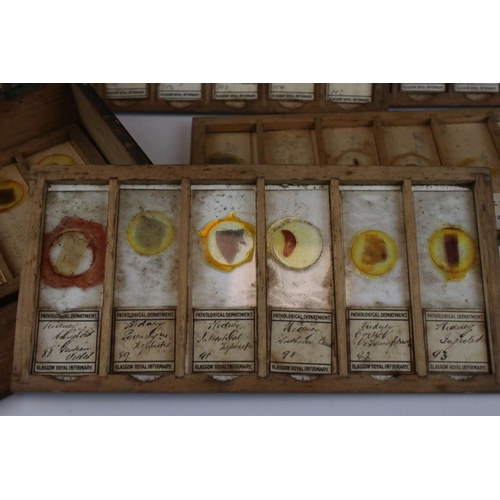 97 - A cased set of antique medical glass slides, slides marked Glasgow Royal Infirmary pathological dept... 