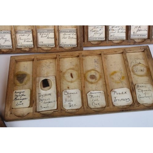 97 - A cased set of antique medical glass slides, slides marked Glasgow Royal Infirmary pathological dept... 