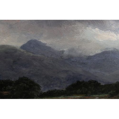 105 - 20th century oil on board possibly Irish rural river scene with hills to background unsigned label v... 