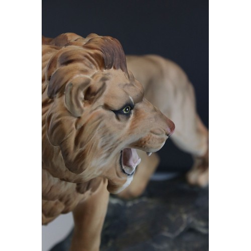 11 - Beswick Matt Lion on Rock, model no 2554A, 21.5cms high