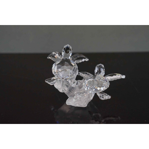 196 - Two boxed Swarovski crystal ornaments to include fish in coral (A 7644) and swimming Turtles (A 9100... 