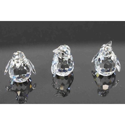 204 - A collection of eight boxed Swarovski crystal ornaments to include Clam shell, fish, penguins and st... 