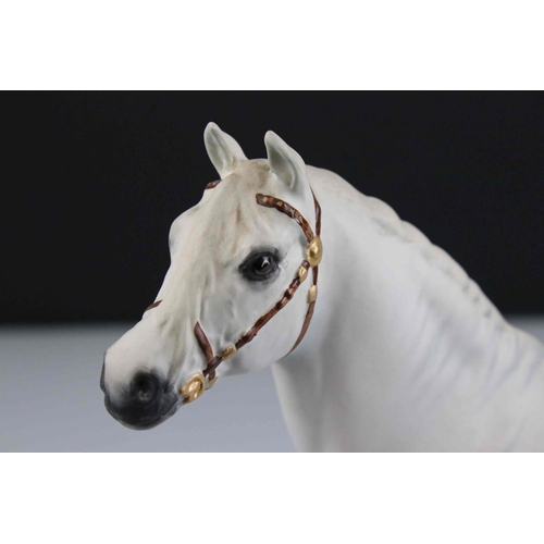 16 - Beswick Connoisseur Champion Welsh Mountain Pony Gredington Simwnt 3614 mounted on a wooden plinth.