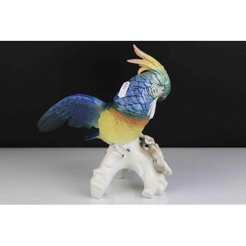 18 - Karl Ens figure of a Cockatoo bird 22 cm in height.