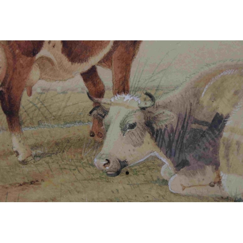 40 - Early 20th century gilt framed watercolour Thomas Sidney Cooper R A cattle in a rural setting signed... 