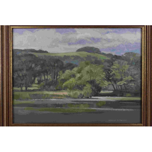 41 - Norman Battershill,  contemporary oil on board of rural river scene, signed, 30 x 40 cm