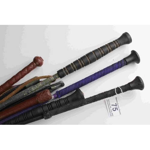 75 - A collection of horse riding crops.