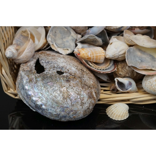 372 - A quantity of shells in a wicker basket.